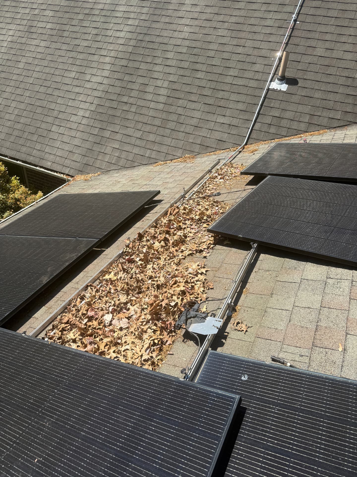 Leaf buildup under rooftop solar panels