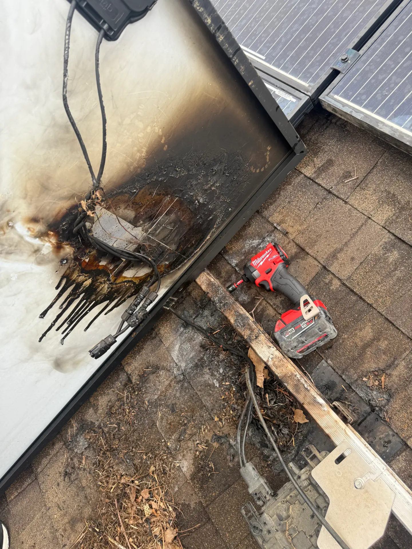 Fire damage on a roof caused by an animal nest under solar panels