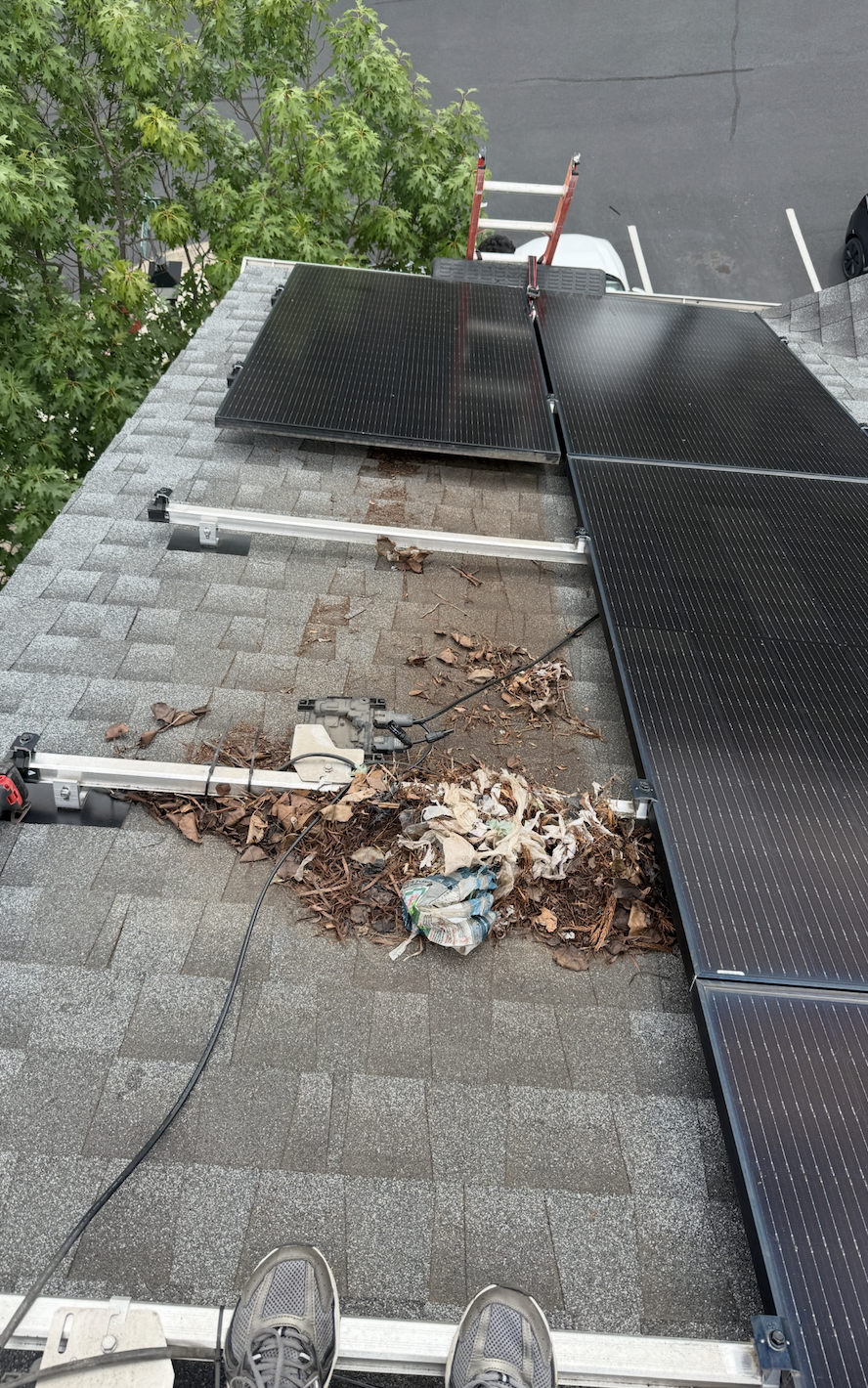 Leaf debris and nesting material under rooftop solar panels